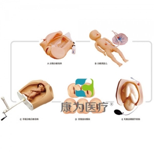 “康為醫(yī)療”高級腹部觸診、分娩機(jī)轉(zhuǎn)綜合模型