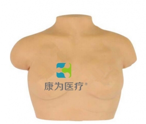 “康為醫(yī)療”高級乳房按摩模型,乳房按摩模型