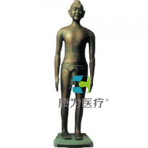 “康為醫(yī)療”仿古針灸銅人166cm