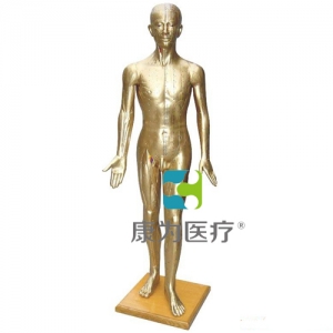 “康為醫(yī)療”人體針灸模型178CM(青銅色）