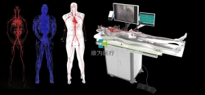 全身人體動靜脈血管模型,動靜脈血管及骨骼模擬系統(tǒng)