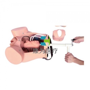 “康為醫(yī)療”KANGWAY高級分娩綜合技能訓(xùn)練模型(分娩醫(yī)生訓(xùn)練模型)