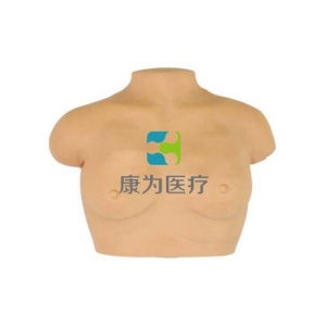 “康為醫(yī)療”高級乳房按摩模型,乳房按摩模型