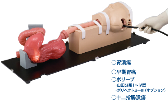 日本進(jìn)口胃鏡手術(shù)訓(xùn)練模擬器